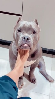 Whendy Tavares feet photo thumbnail