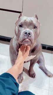 Whendy Tavares feet photo thumbnail