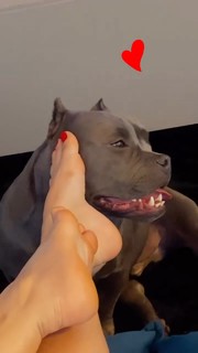 Whendy Tavares feet photo thumbnail