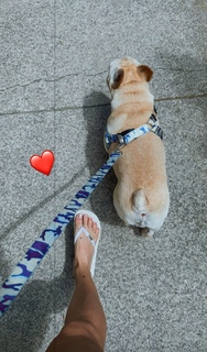 Whendy Tavares feet photo thumbnail