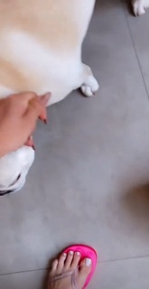 Whendy Tavares feet photo thumbnail