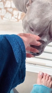 Whendy Tavares feet photo thumbnail