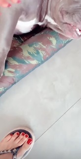 Whendy Tavares feet photo thumbnail