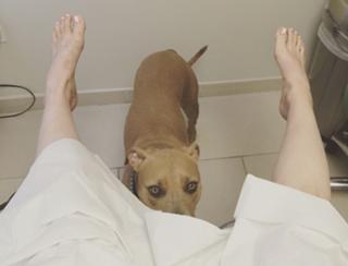 Whitney Cummings feet photo thumbnail