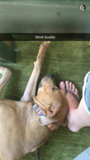 Whitney Cummings feet photo thumbnail