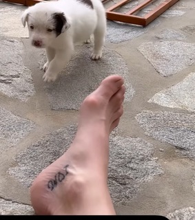 Whitney Cummings feet photo thumbnail