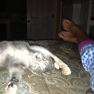 Whitney Duncan feet photo 12
