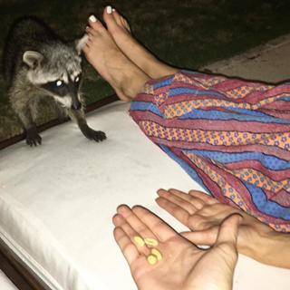 Willa Holland feet photo thumbnail
