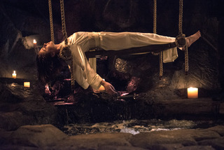 Willa Holland feet photo thumbnail