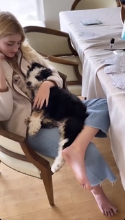 Willow Shields feet photo thumbnail