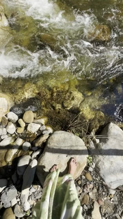 Willow Smith feet photo thumbnail