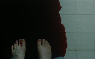 Wrenn Schmidt feet photo 15