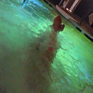 Xenia Tchoumitcheva feet photo thumbnail