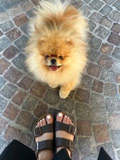 Xenia Tchoumitcheva feet photo thumbnail