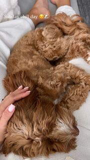 Ximena Duque feet photo 9