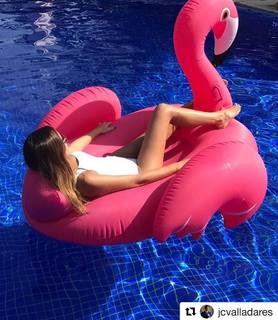 Ximena Navarrete feet photo thumbnail