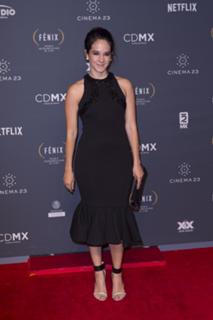 Ximena Sariñana feet photo 12