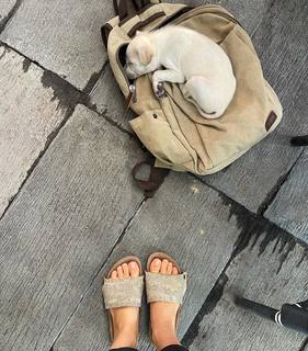 Yaara Benbenishty feet photo 16