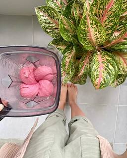 Yaara Benbenishty feet photo 20