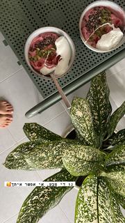 Yaara Benbenishty feet photo 15