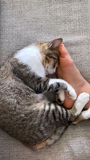 Yaara Benbenishty feet photo 8