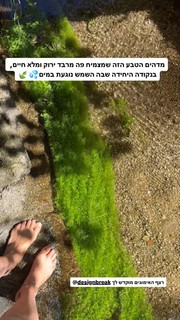 Yaara Benbenishty feet photo 5