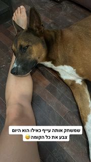 Yaara Benbenishty feet photo 2