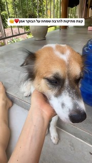 Yaara Benbenishty feet photo 12