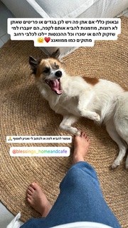 Yaara Benbenishty feet photo 11