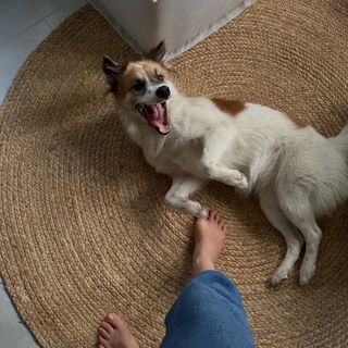 Yaara Benbenishty feet photo 16