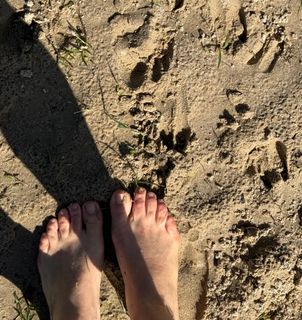 Yaara Benbenishty feet photo 4