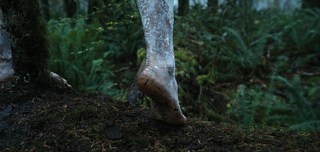 Yadira Guevara-Prip feet photo 14