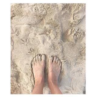 Yael Goldman feet photo 20