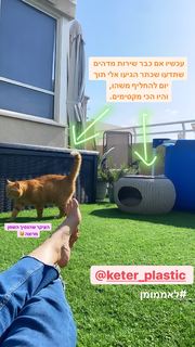 Yael Goldman feet photo 14