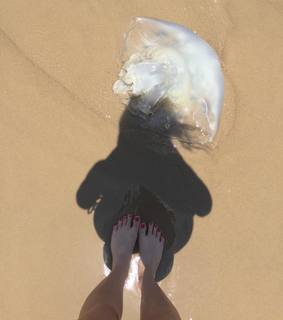 Yael Grobglas feet photo thumbnail