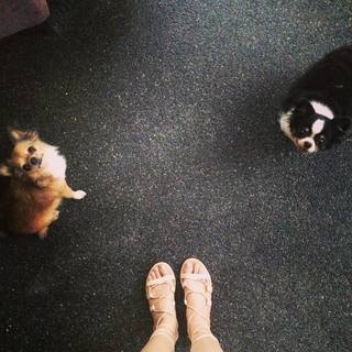 Yam Concepcion feet photo 19