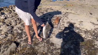 Yam Concepcion feet photo 2