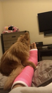 Yanet Garcia feet photo thumbnail