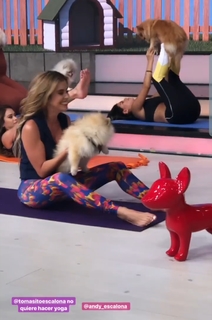 Yanet Garcia feet photo thumbnail