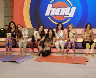 Yanet Garcia feet photo thumbnail