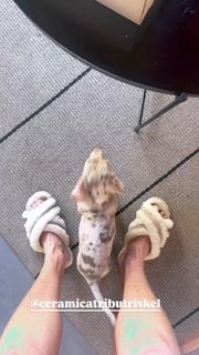 Yanina Latorre feet photo thumbnail