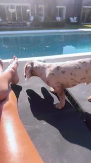 Yanina Latorre feet photo thumbnail