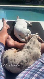 Yanina Latorre feet photo thumbnail