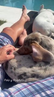 Yanina Latorre feet photo thumbnail