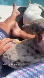 Yanina Latorre feet photo thumbnail