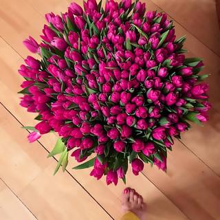 Yanina Studilina feet photo 6