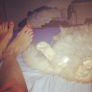 Yarden Harel feet photo 12
