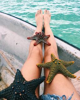 Yarden Harel feet photo 5