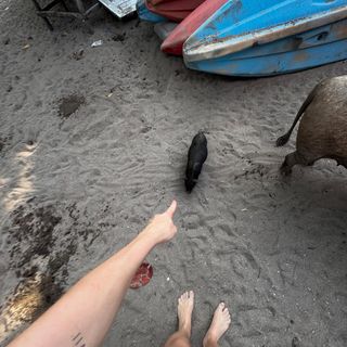 Yasemin Kay Allen feet photo 4