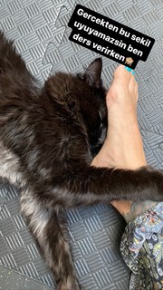 Yasemin Yuruk feet photo 13